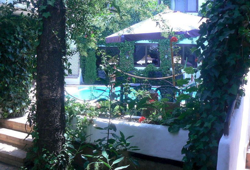 Hôtel Hacienda  | Martil | Tétouan | Hôtels au Maroc 4