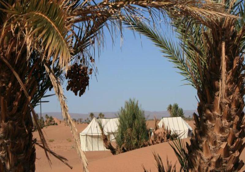 Hôtel Sahara Safari Camp  | Zagora | Zagora | Hôtels au Maroc 4