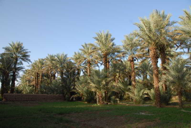 Hôtel Villa Zagora  | Zagora | Zagora | Hôtels au Maroc 12