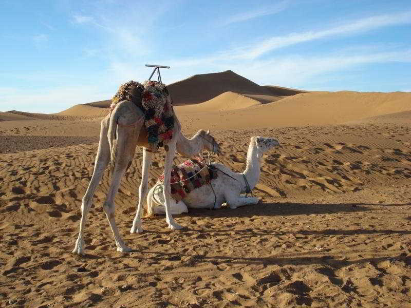 Hotel Bivouac Les Dunes De Tinfou