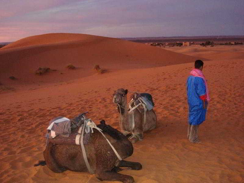 Hôtel Bivouac Nahkla  | Zagora | Zagora | Hôtels au Maroc 3