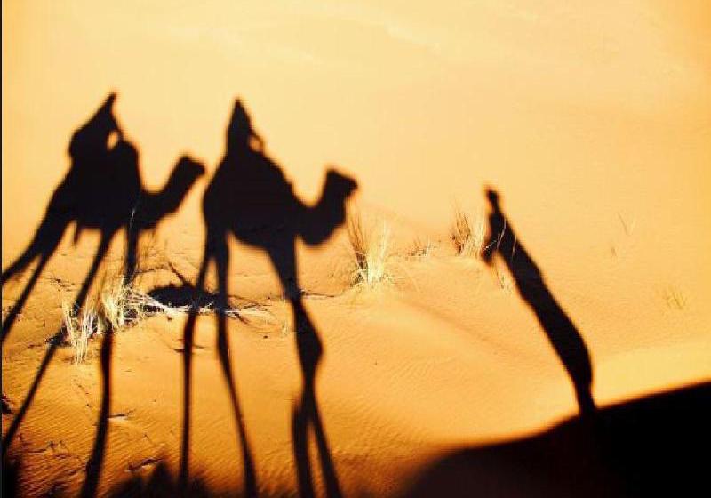 Hôtel Bivouac Nahkla  | Zagora | Zagora | Hôtels au Maroc 4