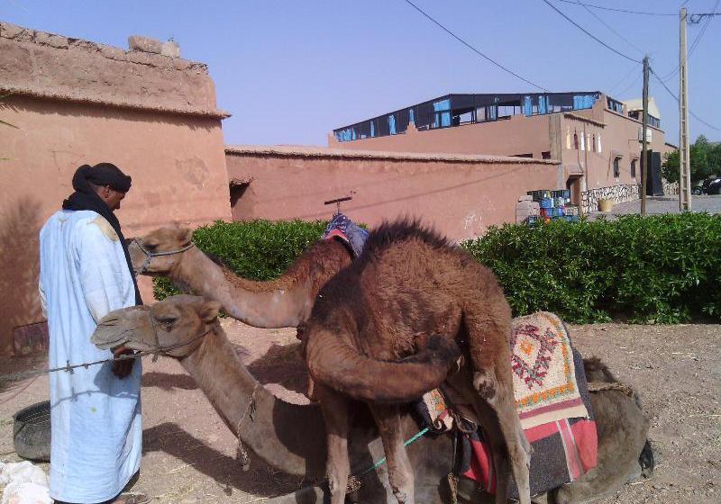 Hôtel Etoile Filante D'or  | Ouarzazate | Ouarzazate | Hôtels au Maroc 10
