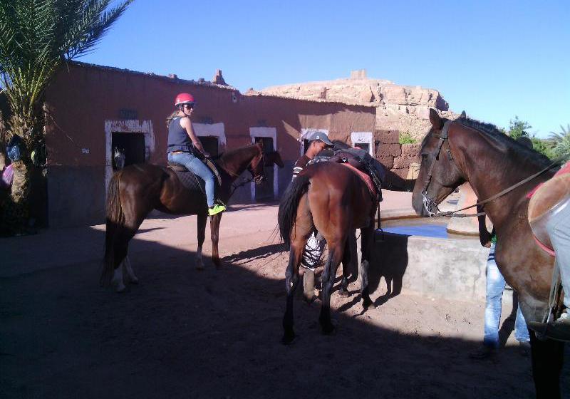Hôtel Etoile Filante D'or  | Ouarzazate | Ouarzazate | Hôtels au Maroc 12