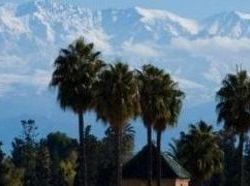 Hôtel Maison Mnabha  | Marrakech | Marrakech | Hôtels au Maroc 10