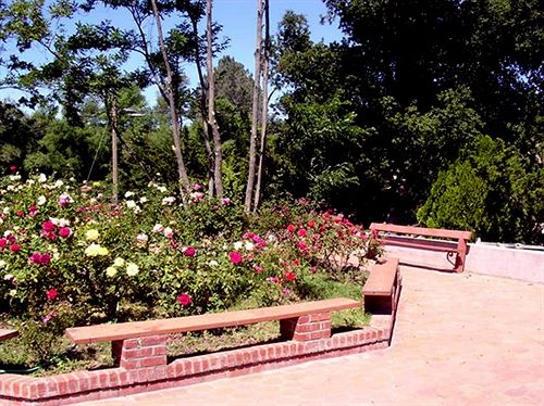 Live Oak Springs Resort  | El Centro | California | United States 1