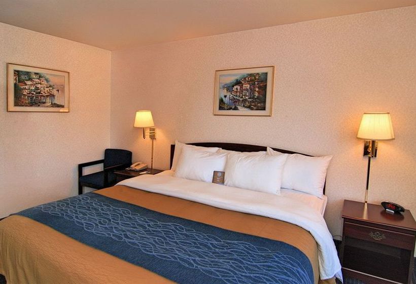 Hotel Comfort Inn Fresno  | Fresno | California | United States 19