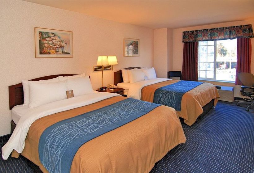 Hotel Comfort Inn Fresno  | Fresno | California | United States 3