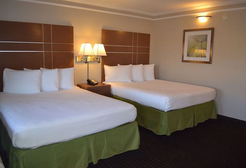 Hotel Econo Lodge Fresno  | Fresno | California | United States 5