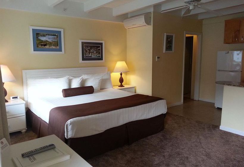 El Terado Terrace Hotel  | Avalon | California | United States 10