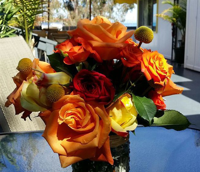 El Terado Terrace Hotel  | Avalon | California | United States 3