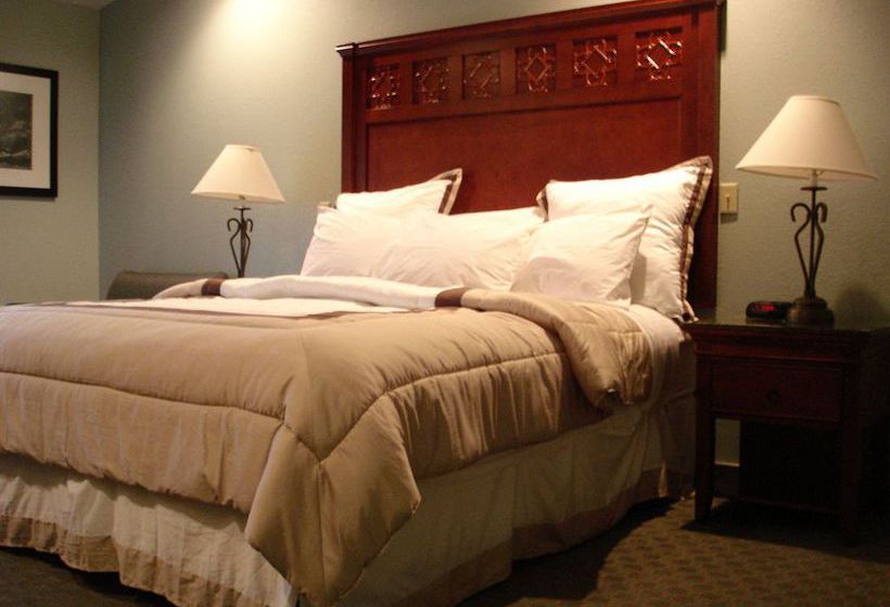 Hotel Best Western Plus Forest Park Inn  | Gilroy | California | United States 18