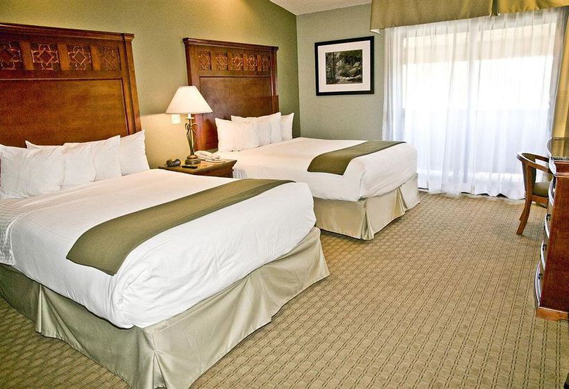 Hotel Best Western Plus Forest Park Inn  | Gilroy | California | United States 2