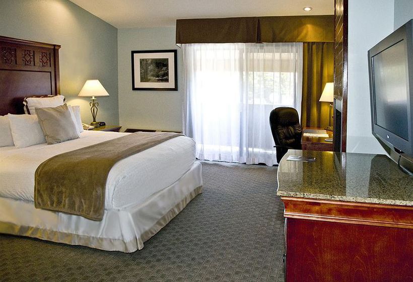 Hotel Best Western Plus Forest Park Inn  | Gilroy | California | United States 3