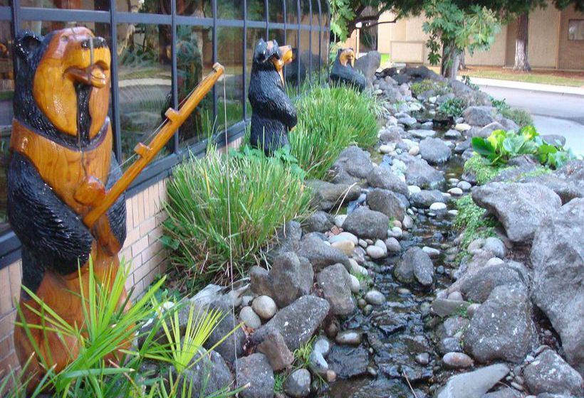 Hotel Best Western Plus Forest Park Inn  | Gilroy | California | United States 8