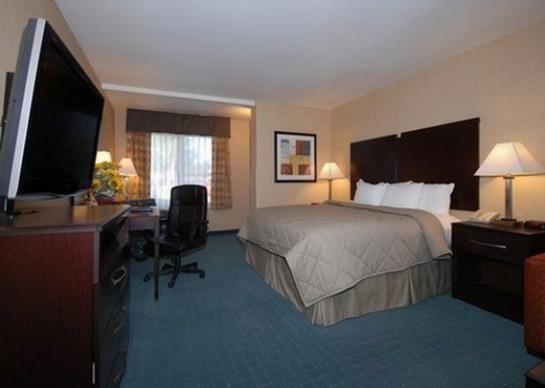 Hotel Comfort Inn & Suites Colton  | Colton | California | United States 7
