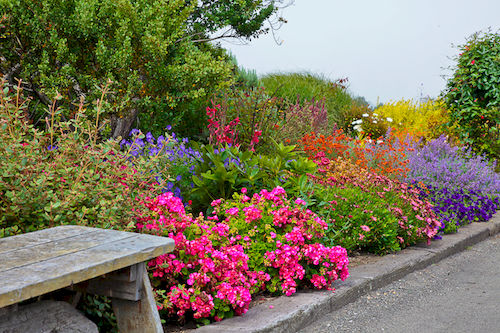 Surf Motel  | Fort Bragg | California | United States 19