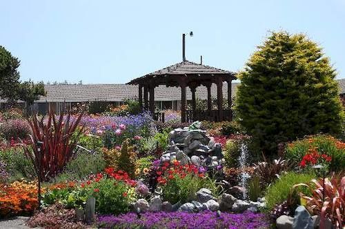 Surf Motel  | Fort Bragg | California | United States 2