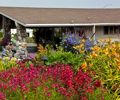 Surf Motel  | Fort Bragg | California | United States 20