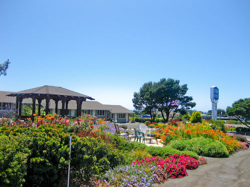 Surf Motel  | Fort Bragg | California | United States 5