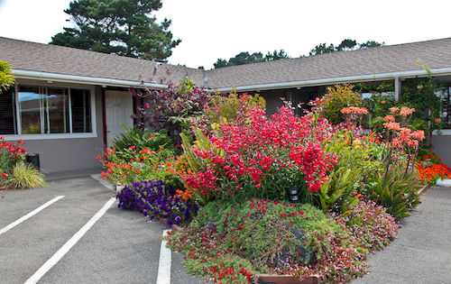 Surf Motel  | Fort Bragg | California | United States 6