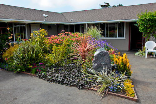 Surf Motel  | Fort Bragg | California | United States 7