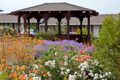 Surf Motel  | Fort Bragg | California | United States 8