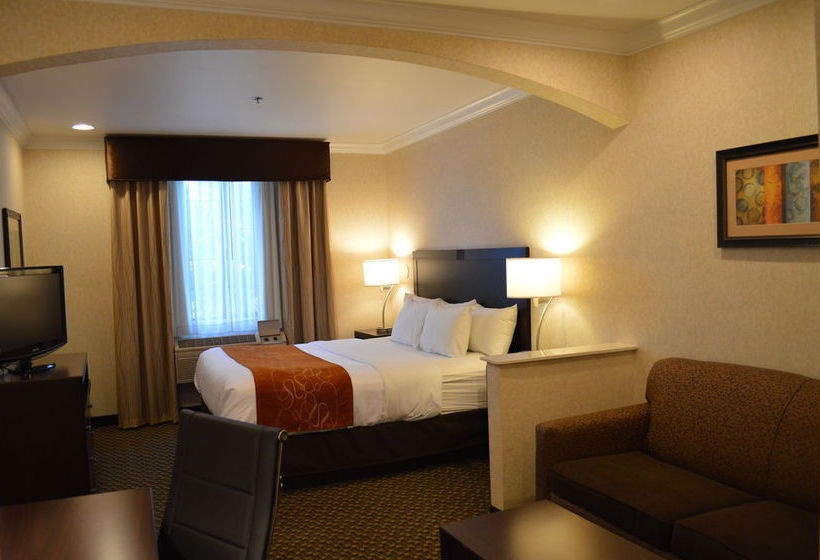 Hotel Comfort Suites Davis  | Davis | California | United States 11