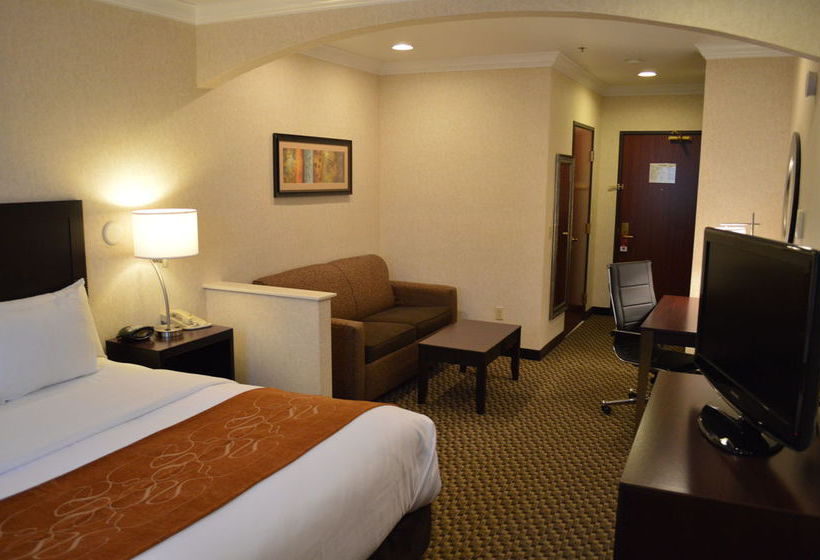 Hotel Comfort Suites Davis  | Davis | California | United States 7