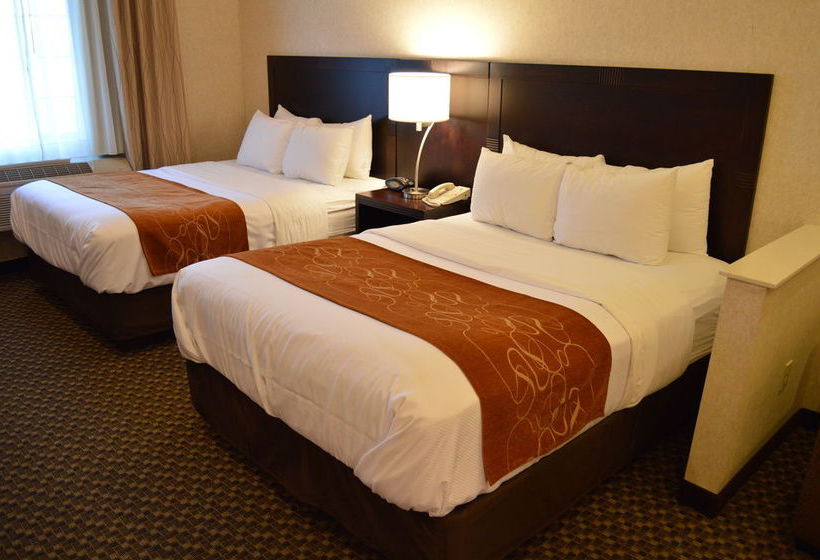 Hotel Comfort Suites Davis  | Davis | California | United States 9