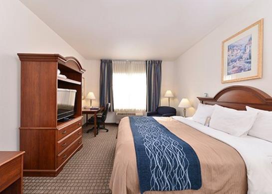 Hotel Comfort Inn Hanford  | Hanford | California | United States 11