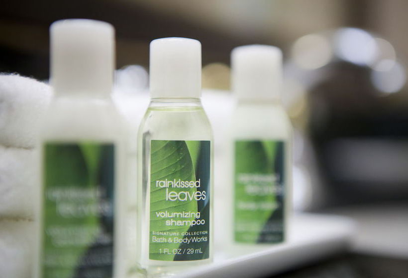 Hotel Holiday Inn Express Carpinteria   | Carpinteria | California | United States 13