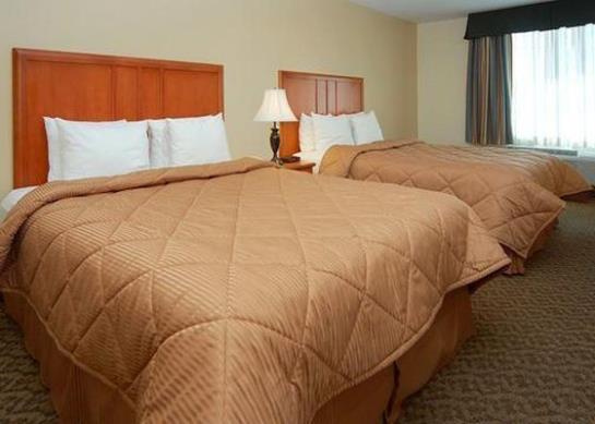 Hotel Comfort Inn & Suites El Centro  | El Centro | California | United States 3