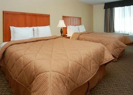 Hotel Comfort Inn & Suites El Centro  | El Centro | California | United States 4