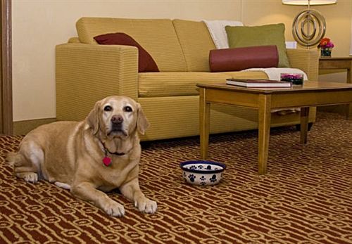 Hotel TownePlace Suites by Marriott Fresno  | Fresno | California | United States 10