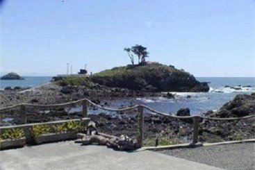Hotel A on 8th  | Crescent City | California | United States 3