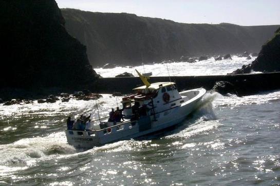 Hotel Holiday Inn Express Fort Bragg  | Fort Bragg | California | United States 5