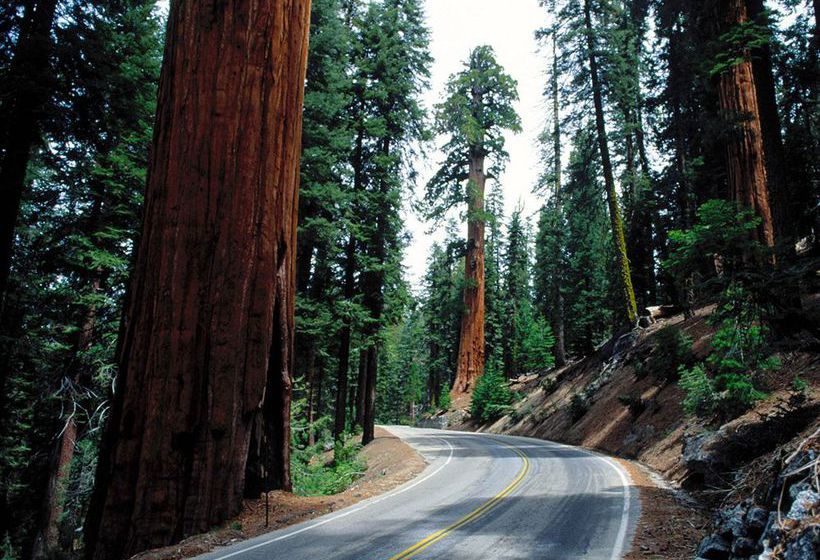 Holiday Inn Express Hotel & Suites Fresno South  | Fresno | California | United States 1