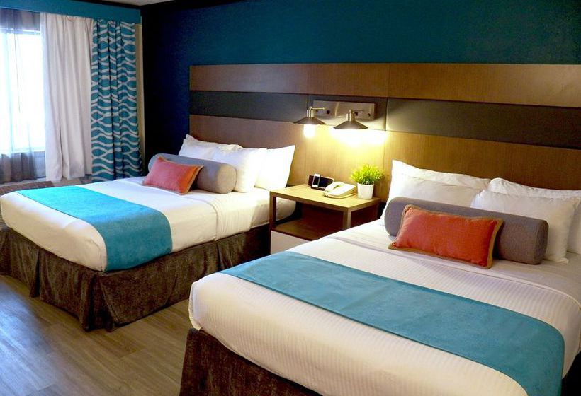 Hotel Comfort Inn Costa Mesa  | Costa Mesa | California | United States 3