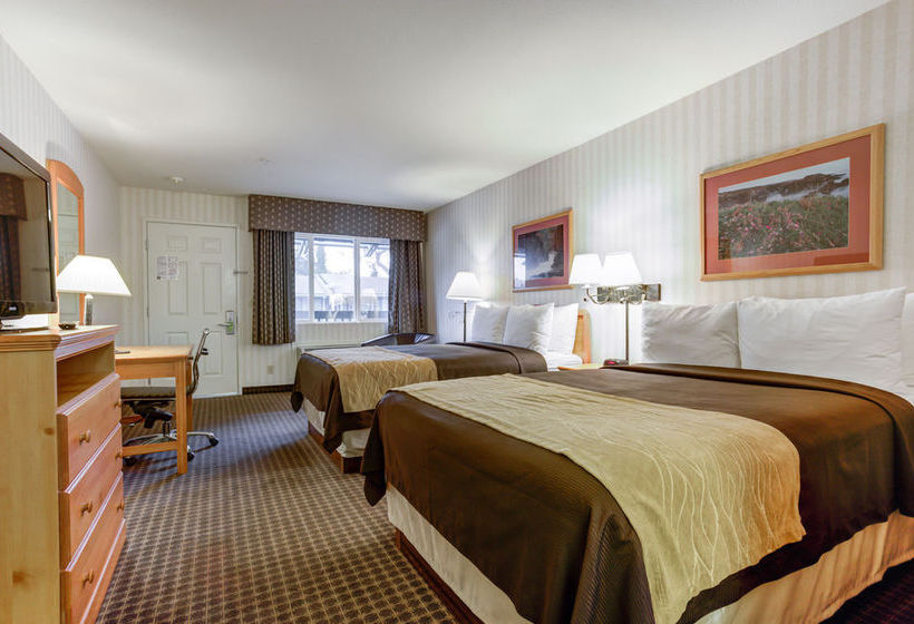 Hotel Comfort Inn Half Moon Bay  | Half Moon Bay | California | United States 7