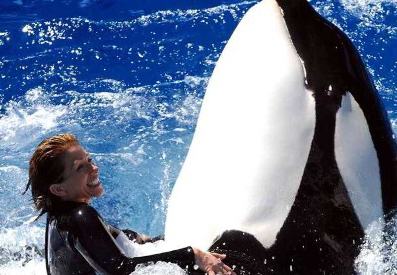 Hotel Courtyard San Diego Carlsbad California