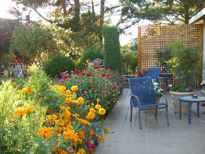 Resort Country Garden Inns  | Carmel Valley | California | United States 8