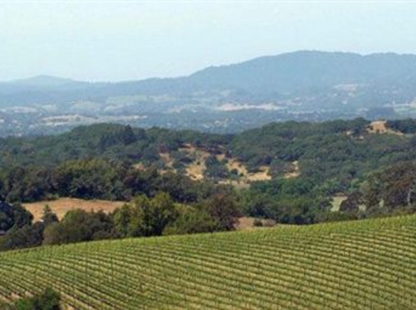 Hotel Les Mars  | Healdsburg | California | United States 1