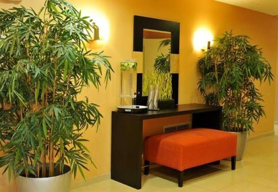 Hotel Fairfield Inn & Suites Fresno Clovis  | Clovis | California | United States 8