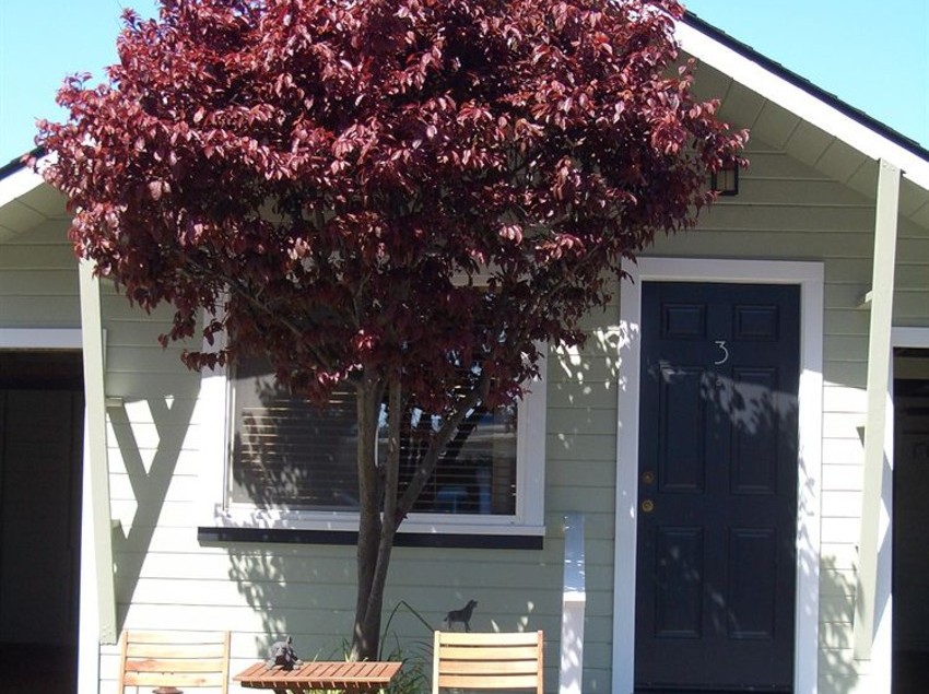 Hotel Complejo Shoreline Cottages  | Fort Bragg | California | United States 1