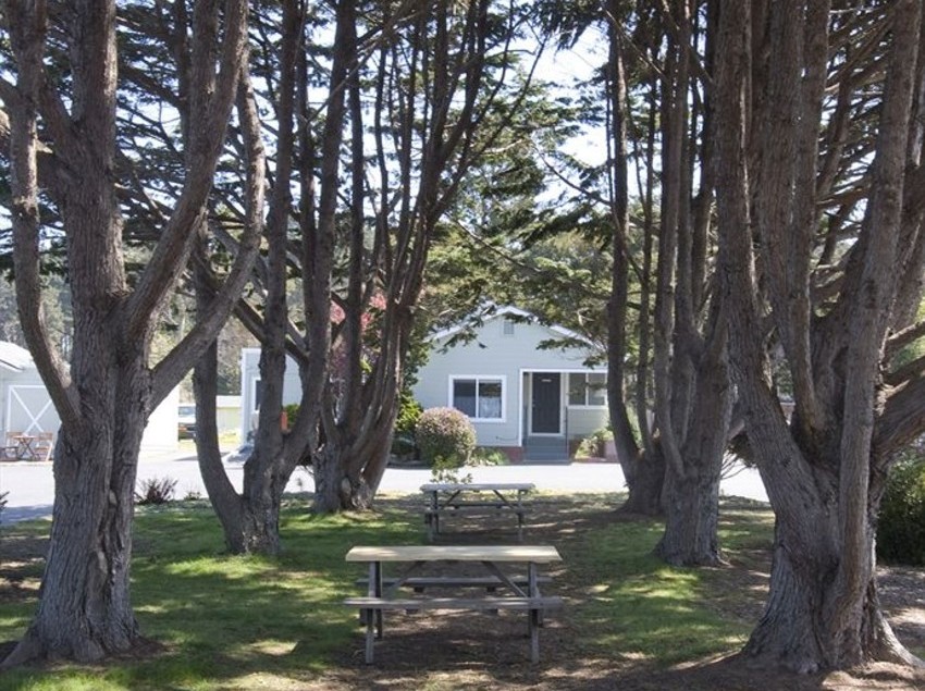 Hotel Complejo Shoreline Cottages  | Fort Bragg | California | United States 7