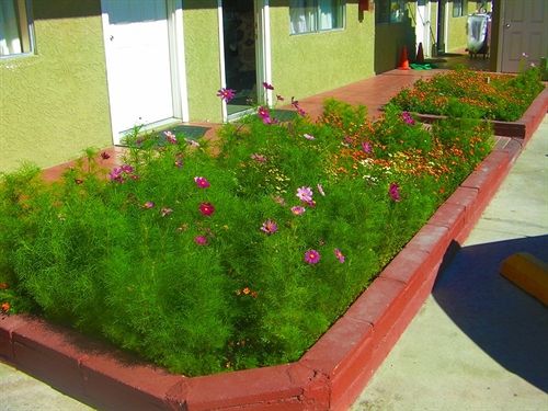 Mountain View Motel Bishop  | Bishop | Californie | Hôtels aux États-Unis 16