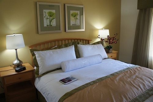 Raintree's Cimarron Golf Resort Palm Springs  | Cathedral City | California | United States 14