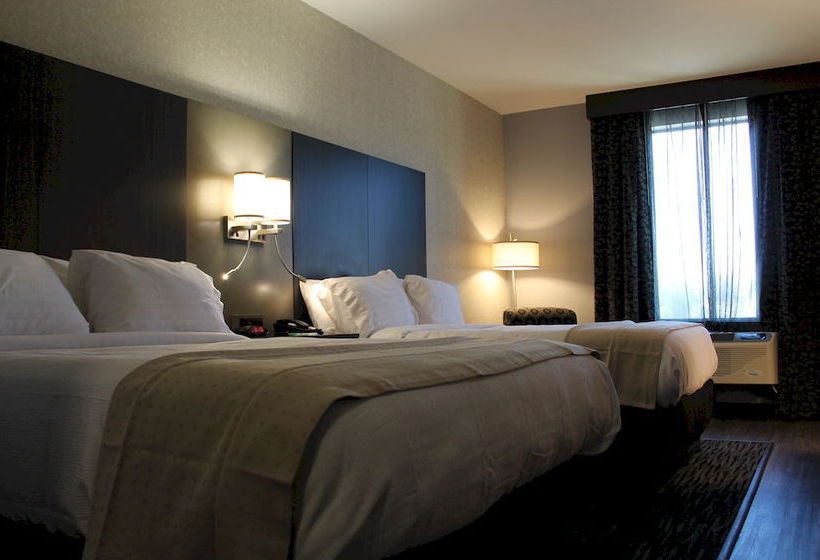 Hotel Holiday Inn Carlsbad  | Carlsbad | California | United States 10