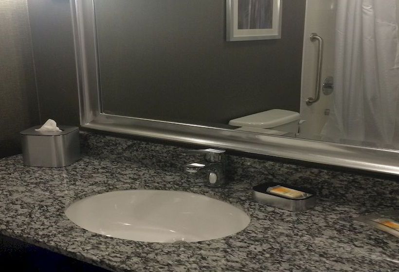 Hotel Holiday Inn Carlsbad  | Carlsbad | California | United States 12